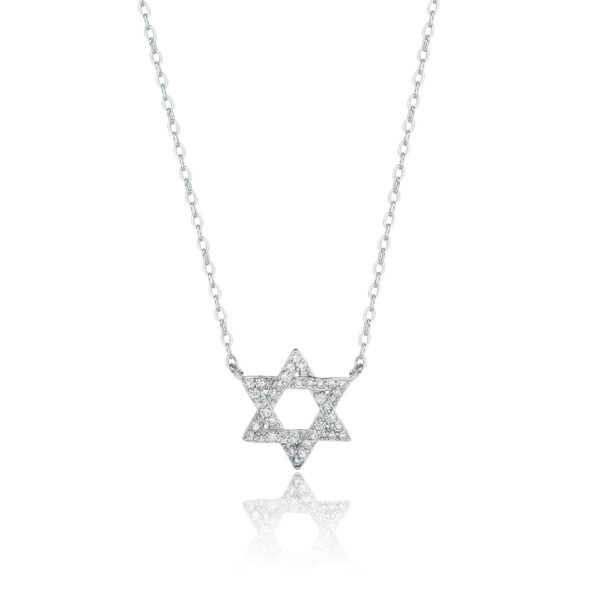 ⁦שרשרת ZSI473-1⁩ – תמונה ⁦2⁩